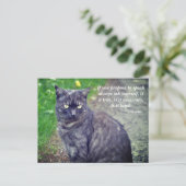 Carte Postale Cat posant sur la promenade Citation bouddhiste mo (Debout devant)