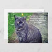 Carte Postale Cat posant sur la promenade Citation bouddhiste mo (Devant / Derrière)