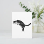Carte Postale Cat Pose Joy (Debout devant)