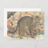CARTE POSTALE CAT POSTCARD ILLUSTRATION (Devant / Derrière)