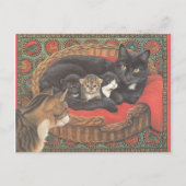 Carte Postale Cat Postcards (Devant)
