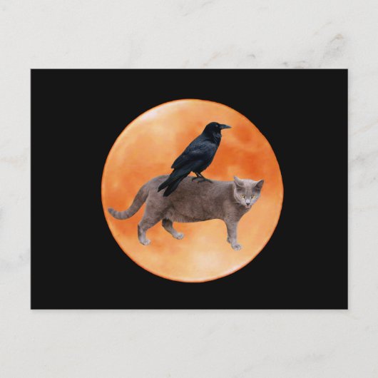 Carte postale Cat Raven Moon (Devant)