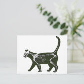Carte Postale Cat Skeleton (Debout devant)