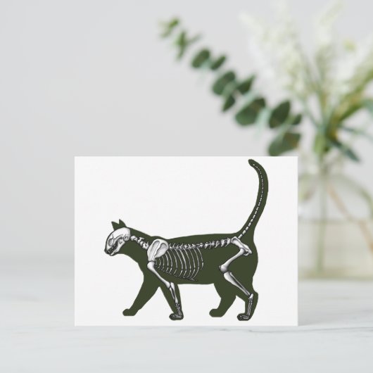 Carte Postale Cat Skeleton (Debout devant)