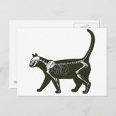 Carte Postale Cat Skeleton (Devant / Derrière)