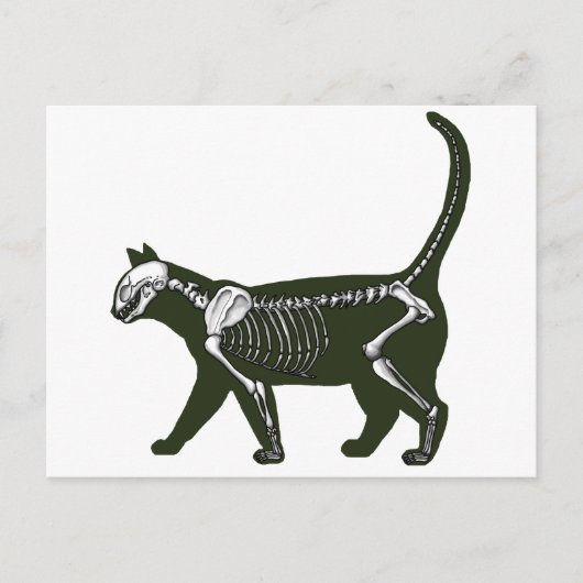 Carte Postale Cat Skeleton (Devant)