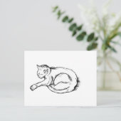 Carte Postale Cat Sleeping Illustration Pen Drawing Art (Debout devant)