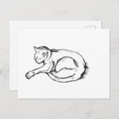 Carte Postale Cat Sleeping Illustration Pen Drawing Art (Devant / Derrière)