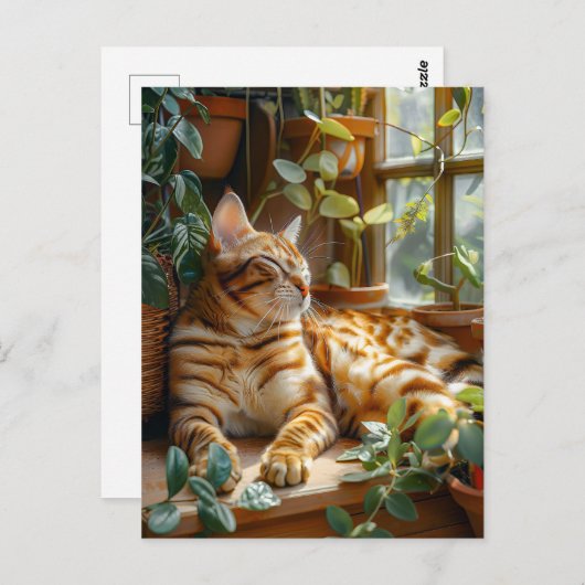 Carte Postale Cat Sleeping on Window Sill Among Flower Vines (Devant / Derrière)