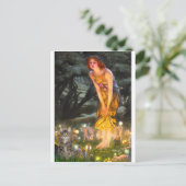 Carte Postale CAT (Tabby1) - MidEve (Debout devant)