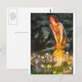 Carte Postale CAT (Tabby1) - MidEve (Devant / Derrière)