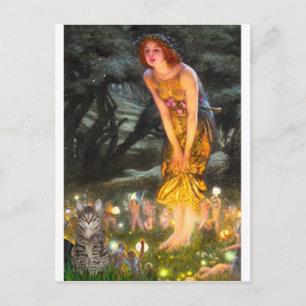 Carte Postale CAT (Tabby1) - MidEve