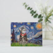 Carte Postale CAT (Tabby2) - Nuit étoilée (Debout devant)