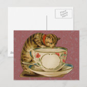 Carte Postale Cat Teacup Cute Vintage Victorien (Devant / Derrière)
