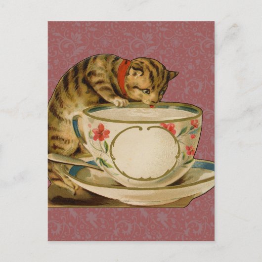 Carte Postale Cat Teacup Cute Vintage Victorien (Devant)