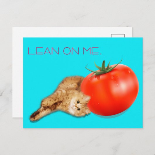 Carte Postale Cat & Tomato Postcard / 猫&トマト ポストカード (Devant / Derrière)