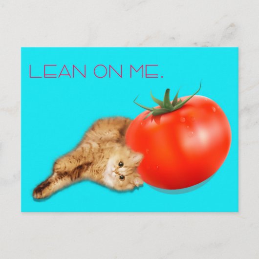 Carte Postale Cat & Tomato Postcard / 猫&トマト ポストカード (Devant)