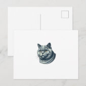 Carte Postale cat vintage (Devant / Derrière)