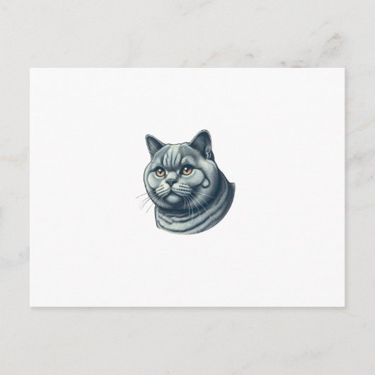 Carte Postale cat vintage (Devant)