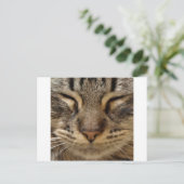 Carte Postale Cat @ ZooTees (Debout devant)