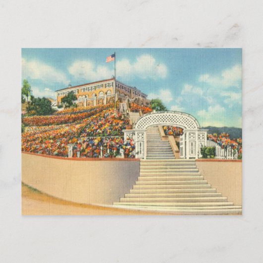 Carte Postale Catalina (Devant)