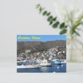Carte Postale Catalina, Californie (Debout devant)