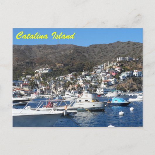 Carte Postale Catalina, Californie (Devant)