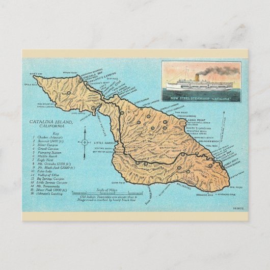 Carte Postale Catalina Island Vintage  (Devant)