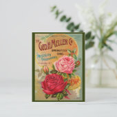 Carte Postale Catalogue rose (Debout devant)