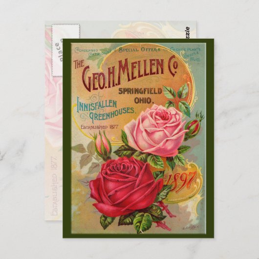 Carte Postale Catalogue rose (Devant / Derrière)