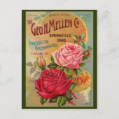 Carte Postale Catalogue rose (Devant)