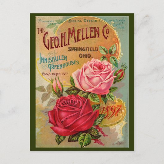 Carte Postale Catalogue rose (Devant)