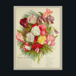 Carte Postale Catalogue vintage de graines de bouquet de pois do<br><div class="desc">N'importe qui aimerait recevoir cette carte postale vintage avec une illustration rétro pour un catalogue de fleurs de bouquet de pois doux !</div>