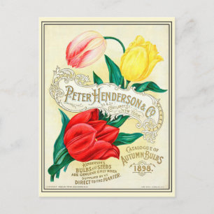 Carte Postale Catalogue vintage de semences de fleurs de jardina
