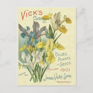 Carte Postale Catalogue vintage de semences et de Plantes Vick's