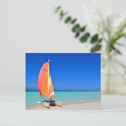 Carte Postale Catamaran (Debout devant)