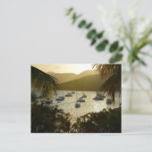 Carte Postale Catamarans et voiliers (Debout devant)