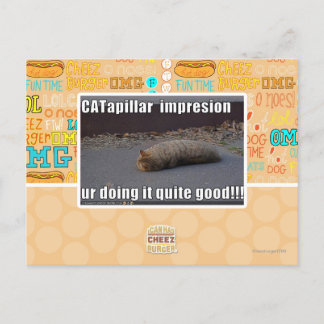 Carte Postale CATapillar
