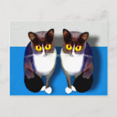 Carte Postale CATaTUDE (Devant)