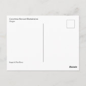 Carte Postale Catawbiense Boursault Rhododendrons, Oregon (Dos)