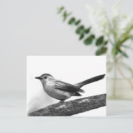 Carte Postale Catbird (Debout devant)