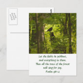 Carte Postale Catbird in the Forest Green (Devant / Derrière)