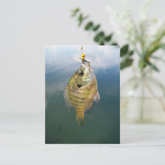 Carte Postale Catch Bluegill (Debout devant)
