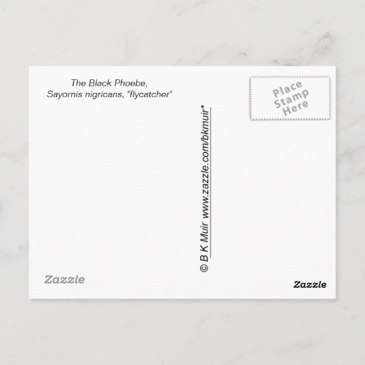 Carte postale - Catcher (Dos)