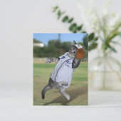 Carte Postale Catcher de chats en plein champ ! (Debout devant)