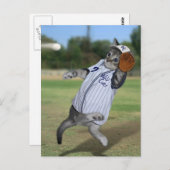 Carte Postale Catcher de chats en plein champ ! (Devant / Derrière)