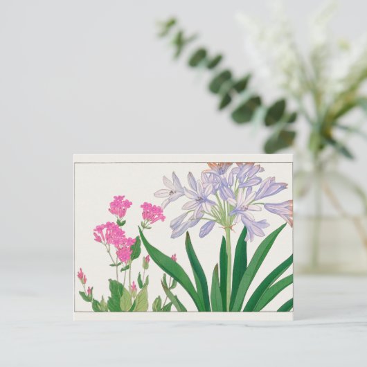 Carte Postale Catchfly, lis africain par Tanigami Konan (Debout devant)