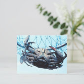 Carte Postale Catching Blue (Debout devant)