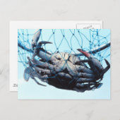 Carte Postale Catching Blue (Devant / Derrière)