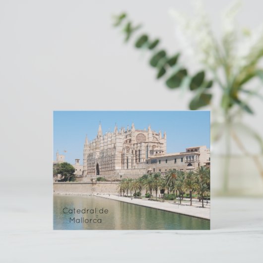 Carte Postale Catedral de Mallorca (Debout devant)